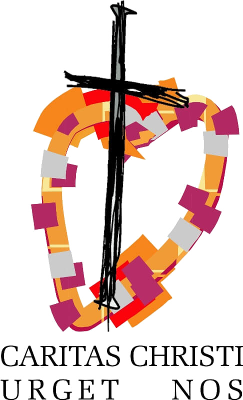 Logo Soziale Einrichtungen der Barmherzigen Schwestern Zams Betriebs GmbH